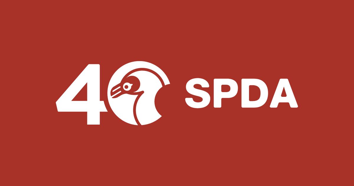 Sepda Eventos SPDA